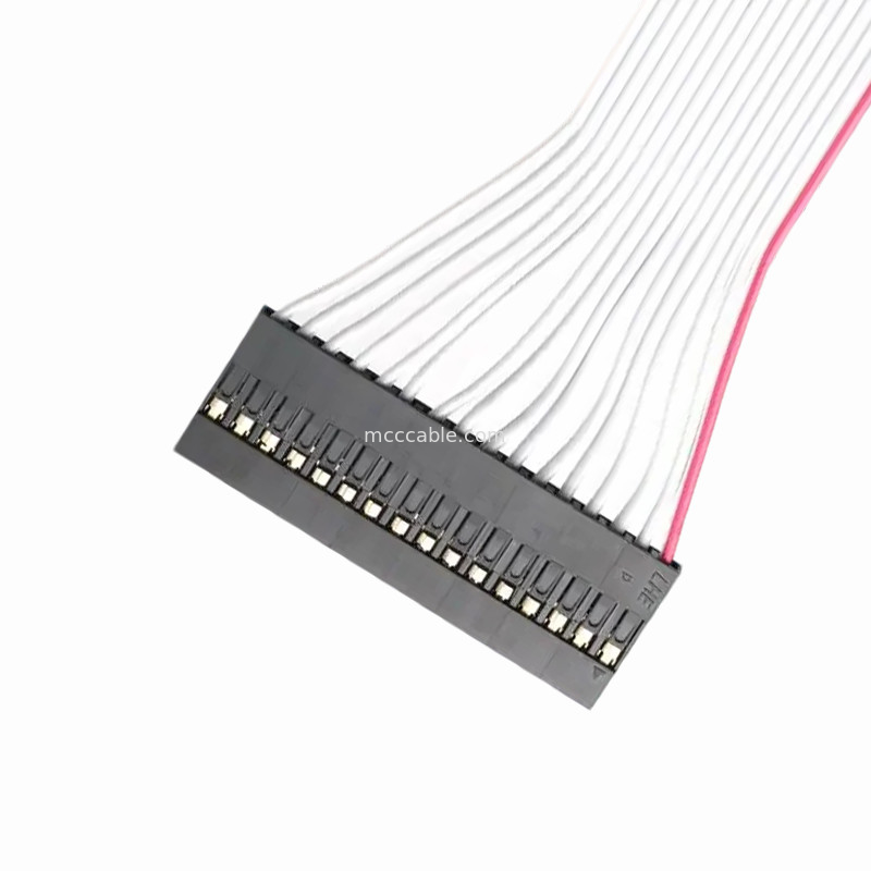 DP2.54-1×16P naar IDC2.54 2×8P bandkabel assemblage.