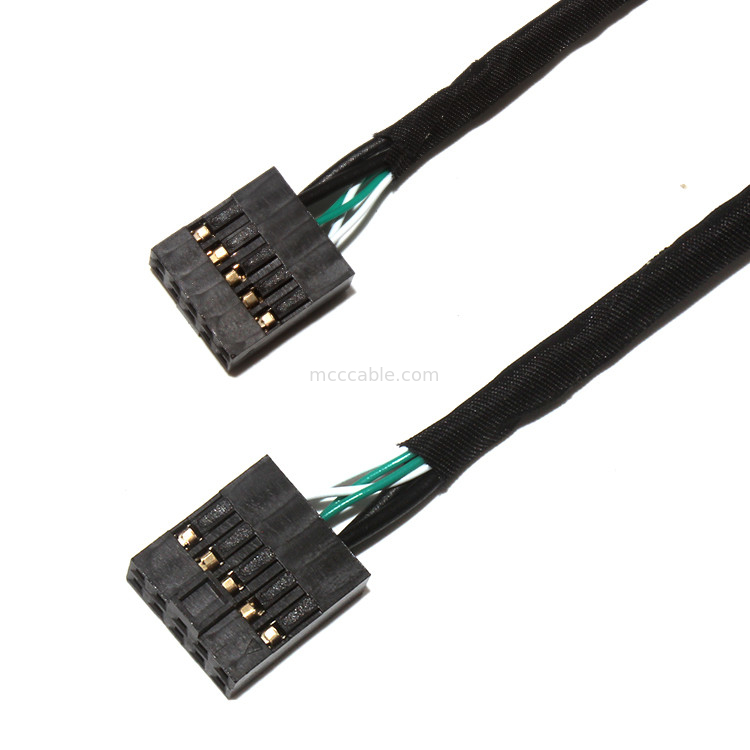 MOLEX de Kabelassemblage van 22-55-2101 TOT van 22-55-2101 VOOR DUBBELE PCB van USB APPLE