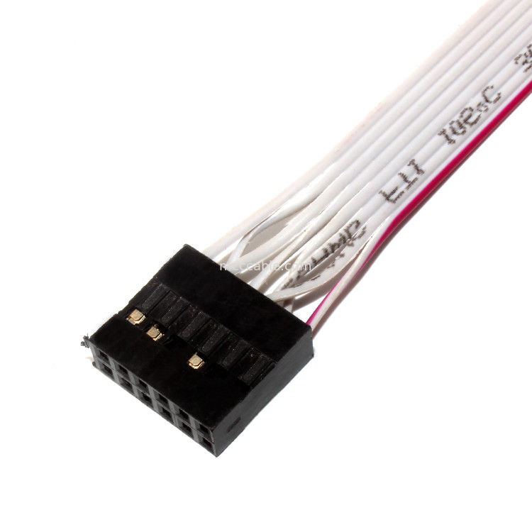 IDC 12 PIN Flat Flexible Ribbon Cable DF19 AAN JST rf voor PCBA-machtskabel
