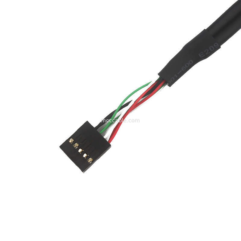 2.54mm Dubbele Usb Draaduitrusting BB aan Sbc 10 POS MOLEX 22552101 kabel