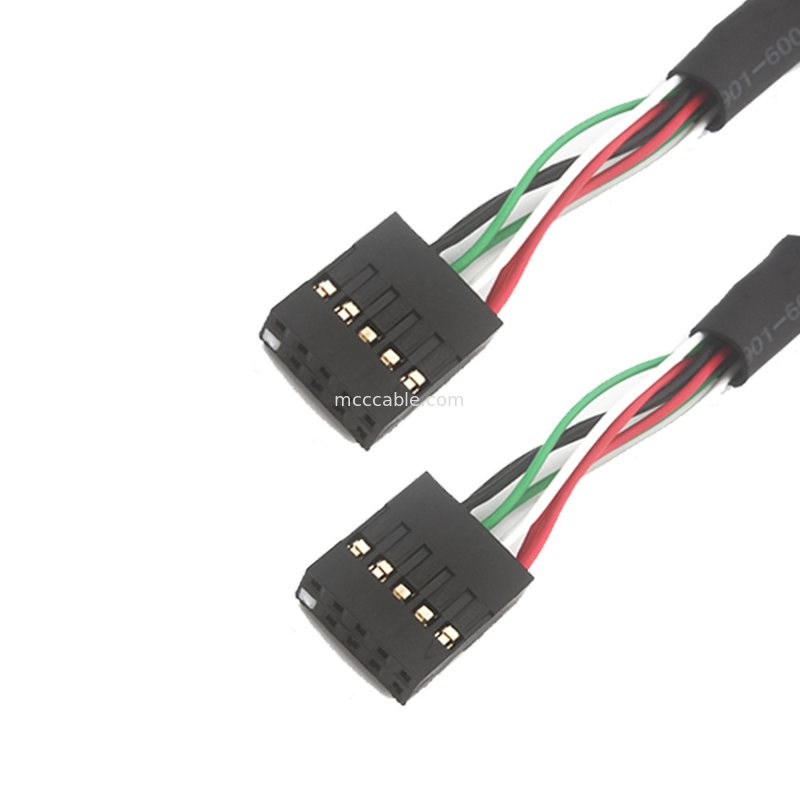 2.54mm Dubbele Usb Draaduitrusting BB aan Sbc 10 POS MOLEX 22552101 kabel