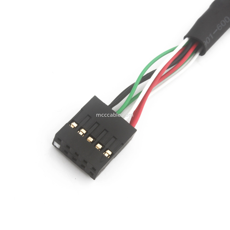 2.54mm Dubbele Usb Draaduitrusting BB aan Sbc 10 POS MOLEX 22552101 kabel