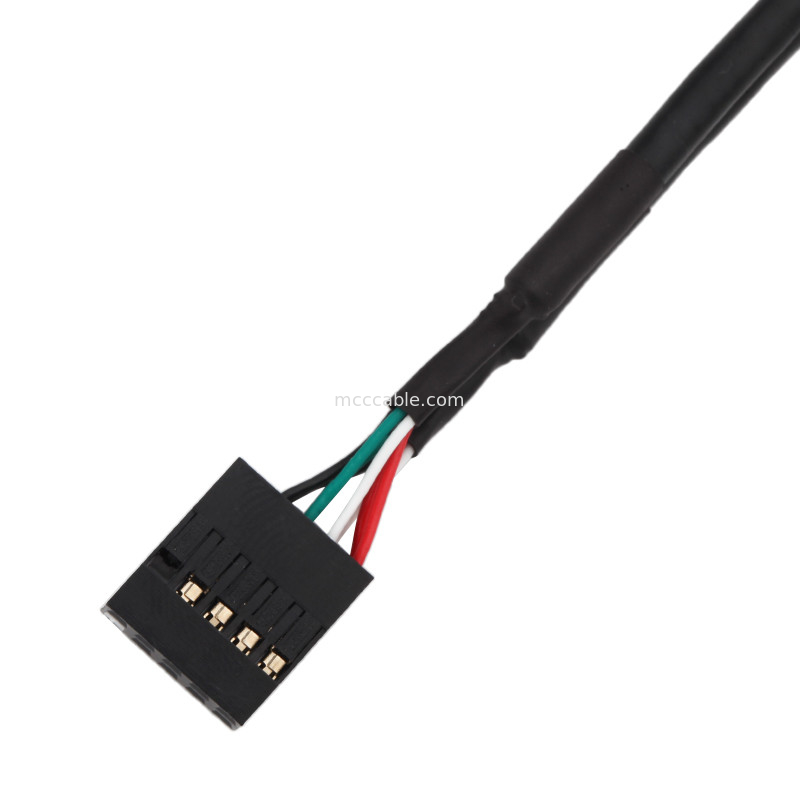 HSG 100mm van de de Uitrustingskabel van de Lengtedraad de Assemblage 2×5 Pin Black To phd-2×5P