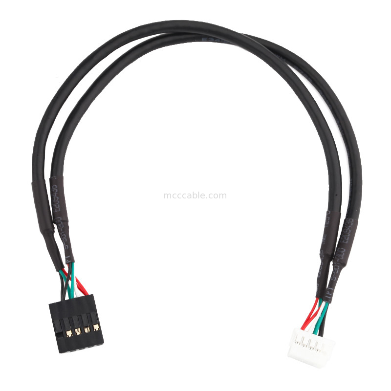 HSG 100mm van de de Uitrustingskabel van de Lengtedraad de Assemblage 2×5 Pin Black To phd-2×5P