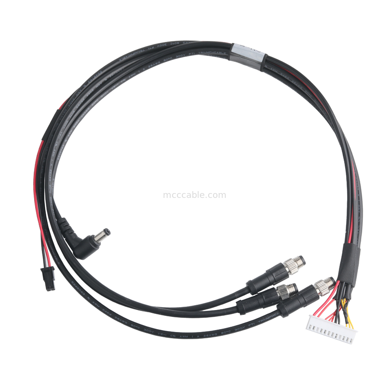 XHB-12P tot en met M8 CONN kabel assemblage en DC CONN of 43025-0400 CONN pitch 3.0mm OEM/ODM