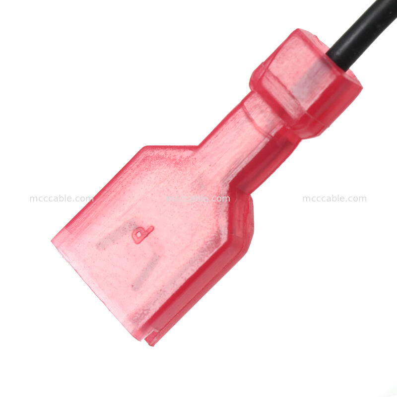 4-pins Nano-Fit naar 6,3 mm vrouwelijke steekstekker stroomkabelboom met ferrietkern