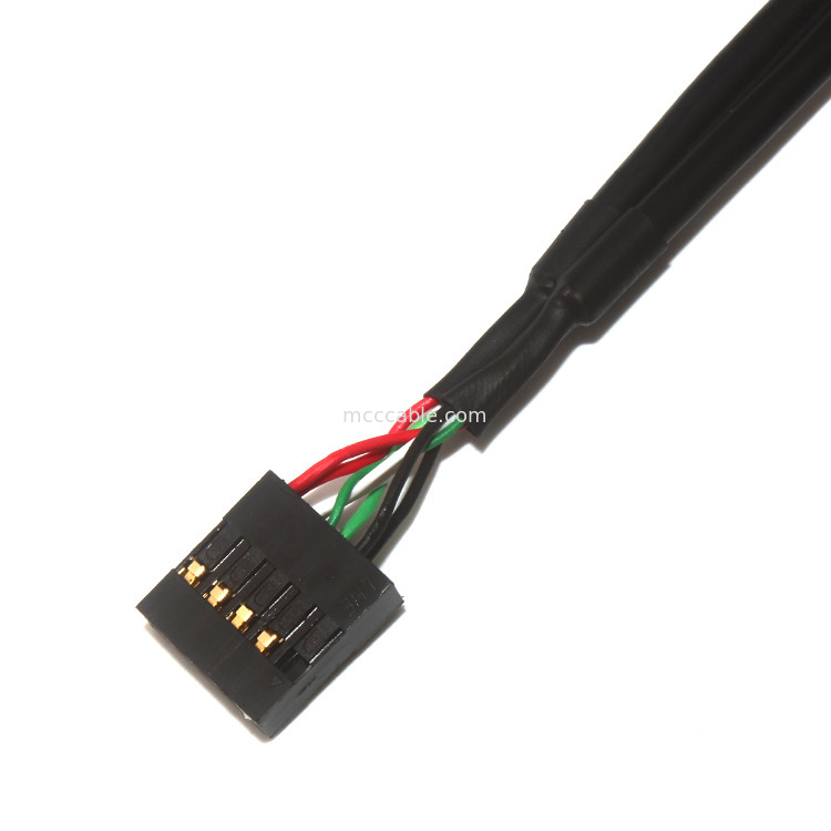 10 speld 30AWG 2.54mm de Kabelassemblage 150mm Lengte Molex 22-55-2101 van Hoogtemolex