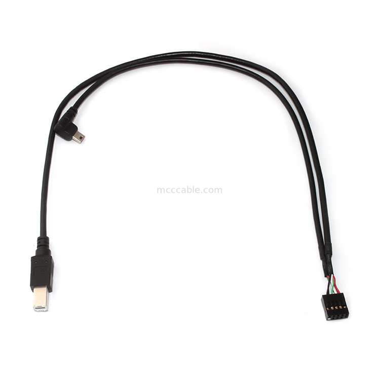 10 speld 30AWG 2.54mm de Kabelassemblage 150mm Lengte Molex 22-55-2101 van Hoogtemolex