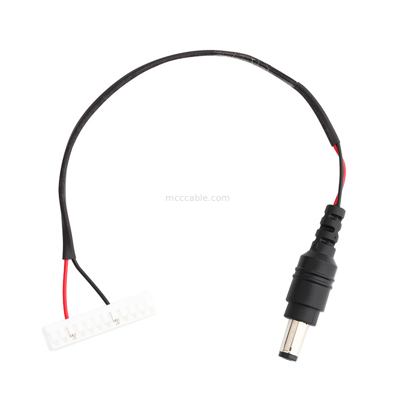 Van de de Stopmacht van JST haar-12 gelijkstroom de de Kabellvds gelijkstroom STOP aan 2,5 werpt lvds 12 de kabel van de speldschakelaar